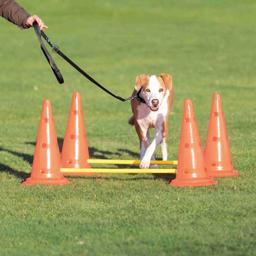 Trixie Aktivitetshinder för träning & agility STORT